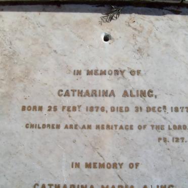 ALING family