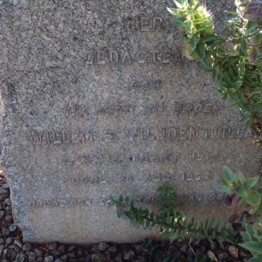 VILJOEN Willem S. 1914-1937