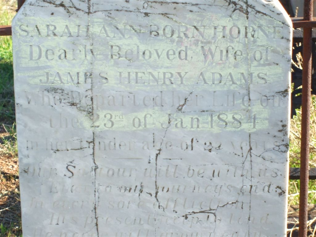 ADAMS Sarah-Ann nee HORNE -1884