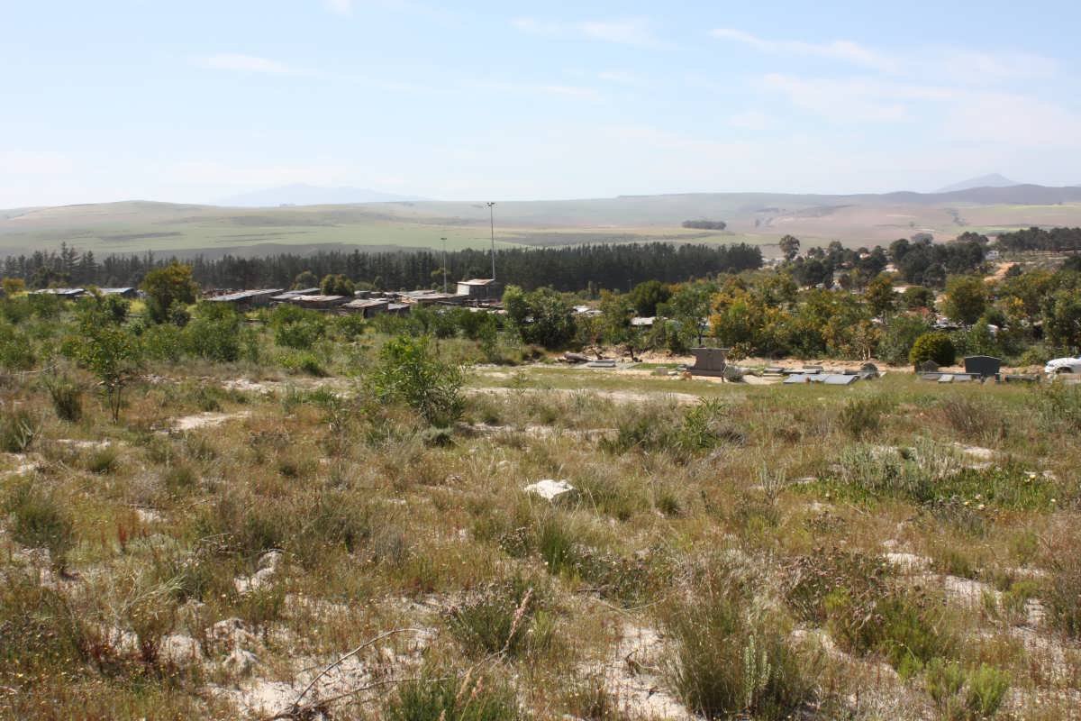 3. Overview