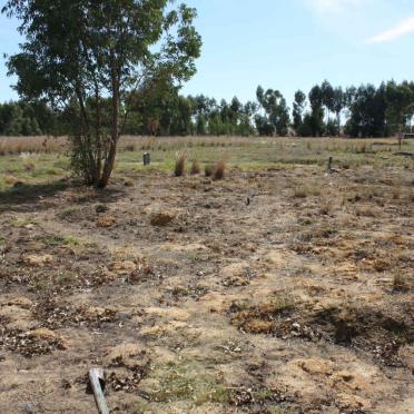 1. Overview of graves at the Old Hermon Cemetery
