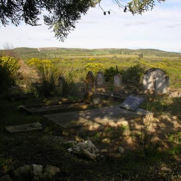 1. Overview