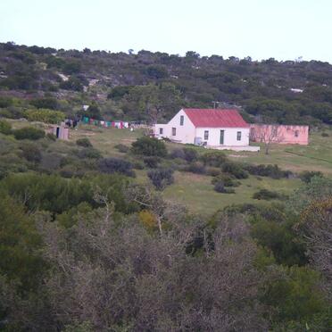 4. Overview