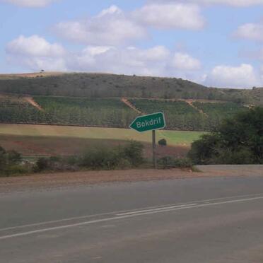 1. The road to the farm Bokdrif near Herbertsdale