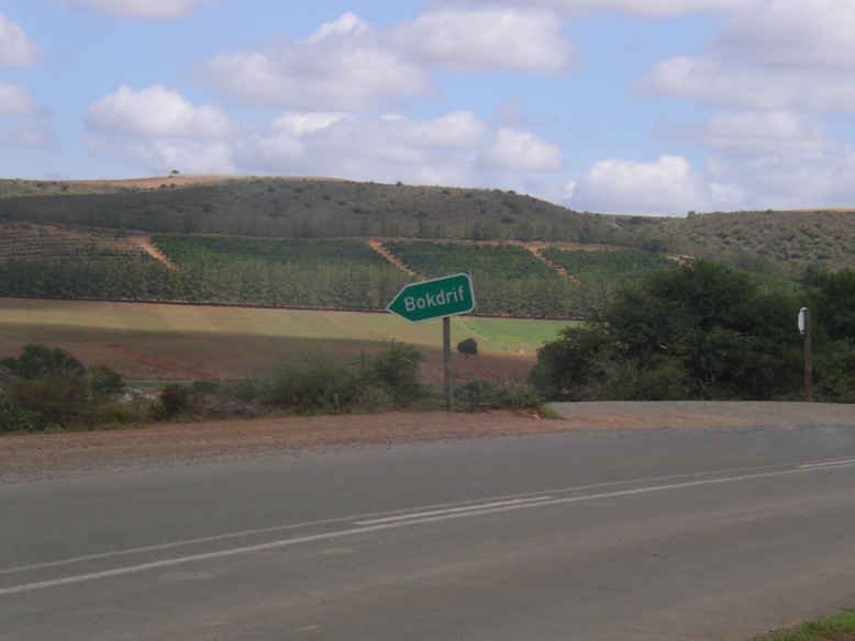 1. The road to the farm Bokdrif near Herbertsdale