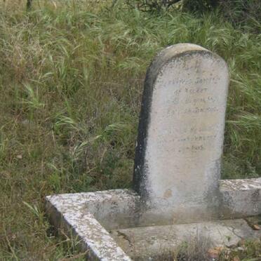 NECKER, Bernadus Johannes de 1856-1909