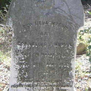 HUMAN Cornelius 1881-1930