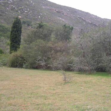 1. Cemetery hidden in the bushes