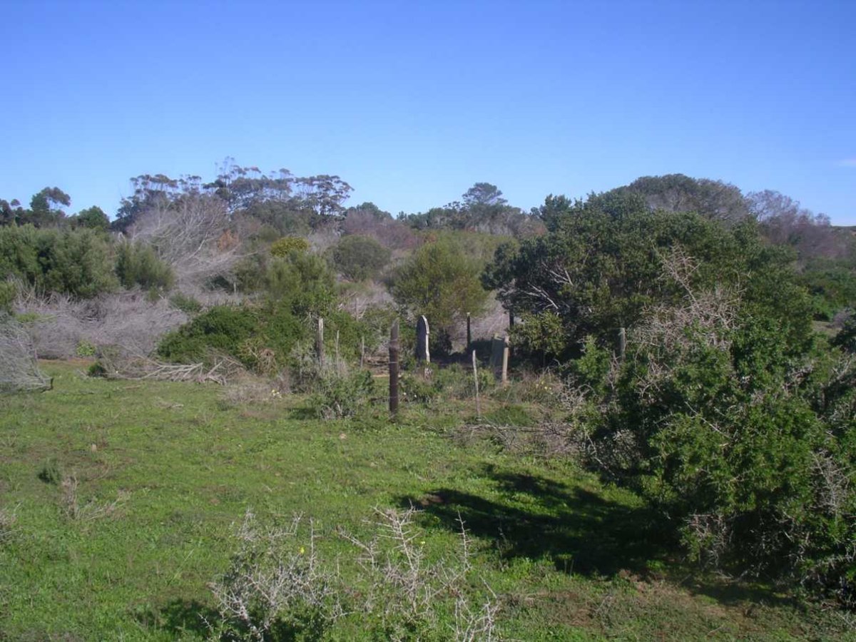 1. Overview