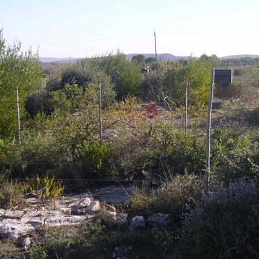 1. Melkhoutkraal Cemetery