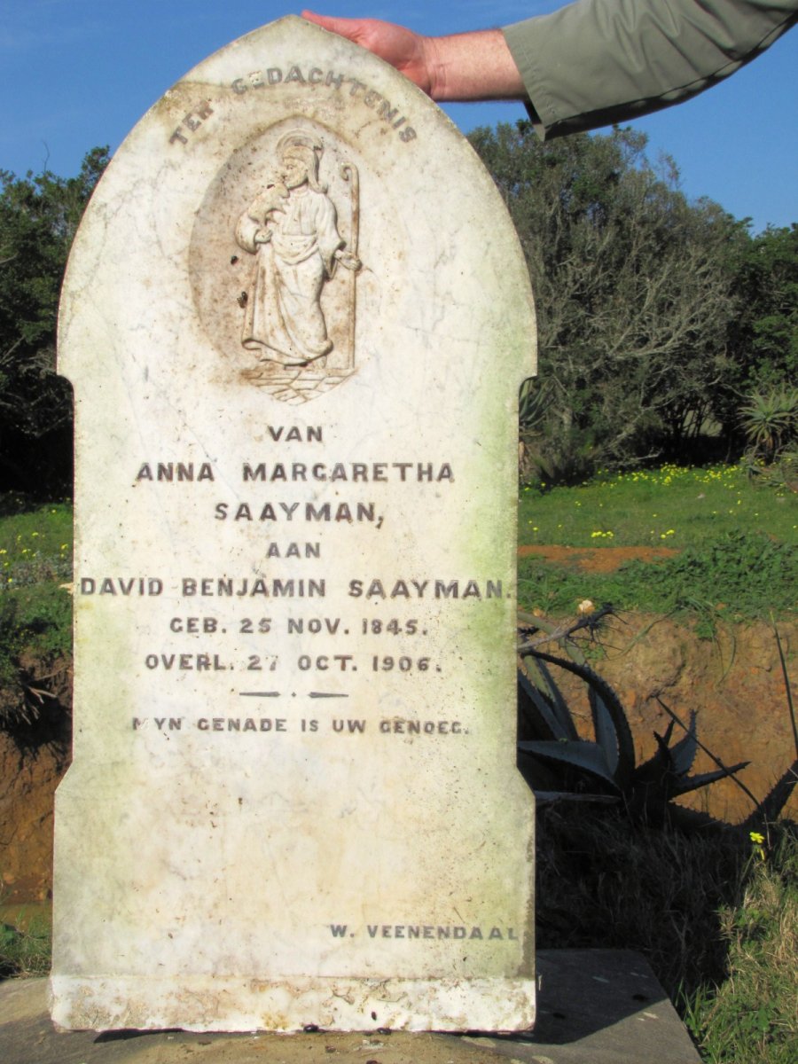 SAAYMAN David Benjamin 1845-1906