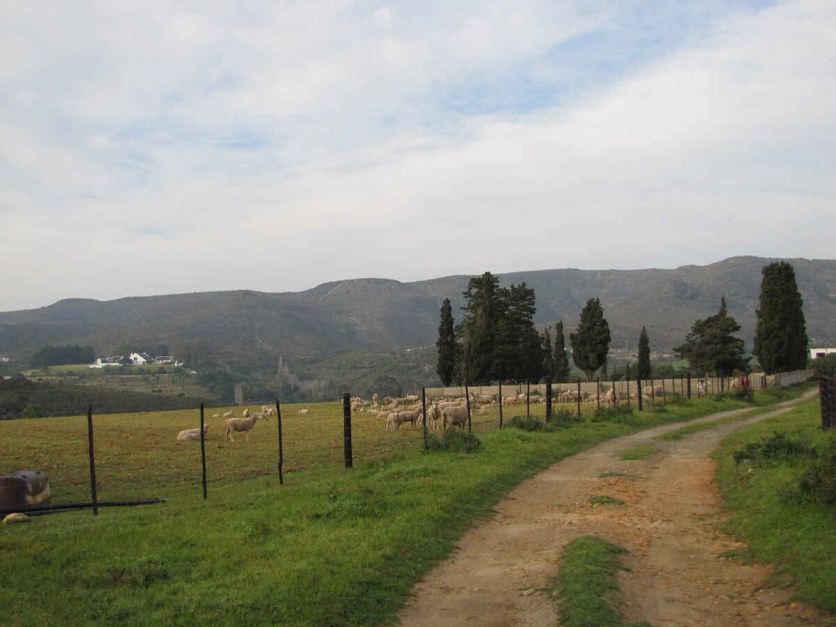 1. Overview