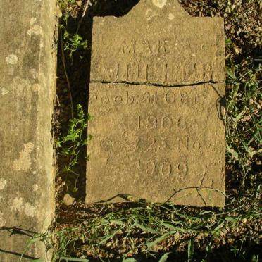 MULLER Maria 1906-1909