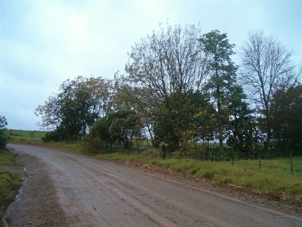 1. Seekoegat begraafplaas van die Suide