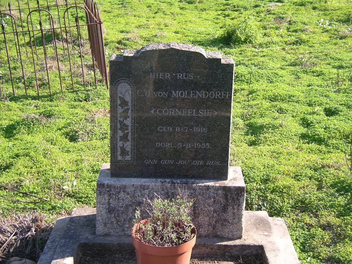 MOLENDORFF C.J., von 1916-1955