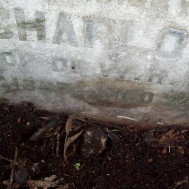 BLEEK Jemima Charlotte 18?7 -1909