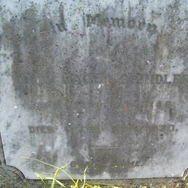 SPINDLER Luoy Hagen  1846-1930