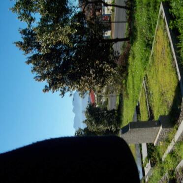 1. Overview
