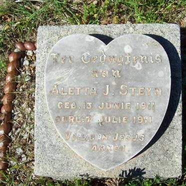 STEYN Aletta J. 1911-1911