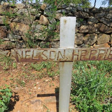 HEPPLE Nelson