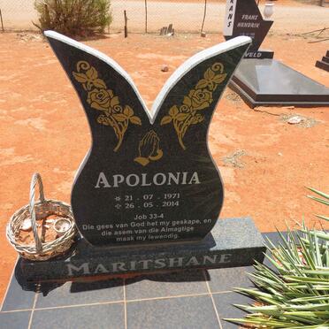 MARITSHANE Apolonia 1971-2014