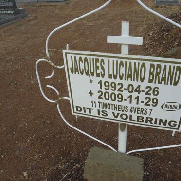 BRANDT Jacques Luciano 1992-2009