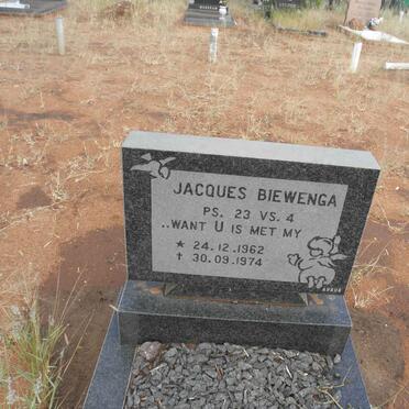 BIEWENGA Jacques 1962-1974