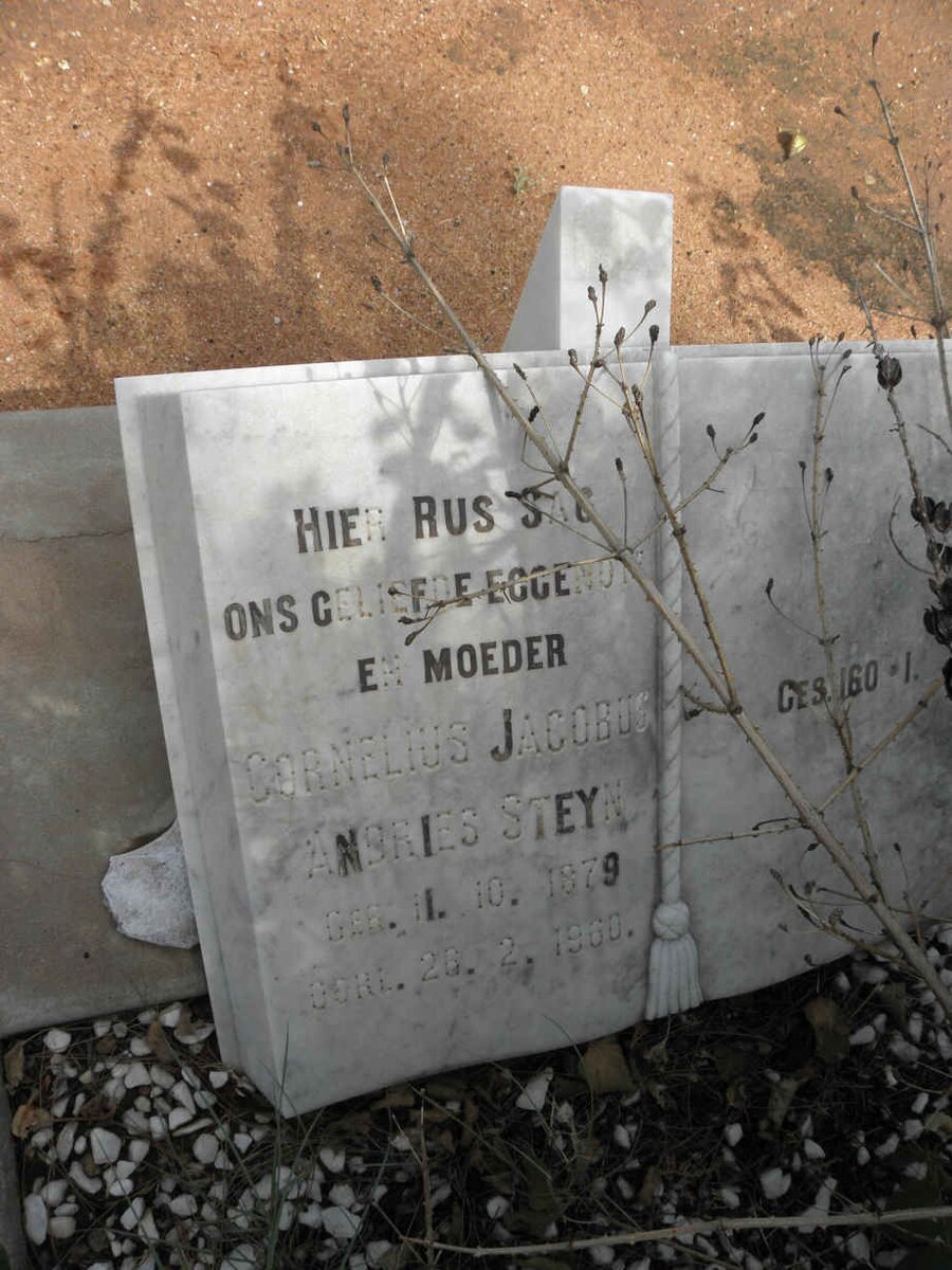 STEYN Cornelius Jacobus Andries 1879-19?0