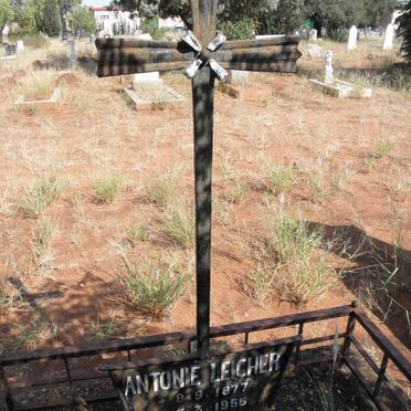 LEICHER Antonie 1877-1955