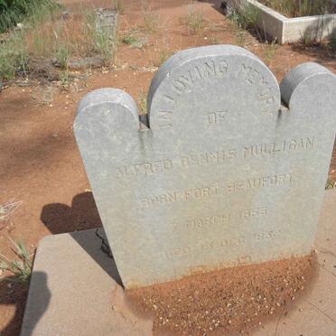 MULLIGAN Alfred Dennis 1855-1932