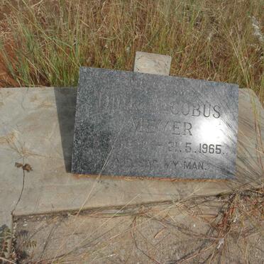 MEYER Dirk Jacobus 1892-1965