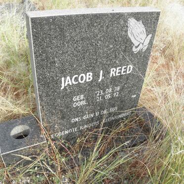 REED Jacob J. 1938-1992