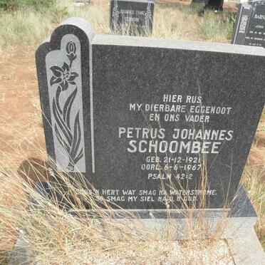 SCHOOMBEE Petrus Johannes 1921-1967