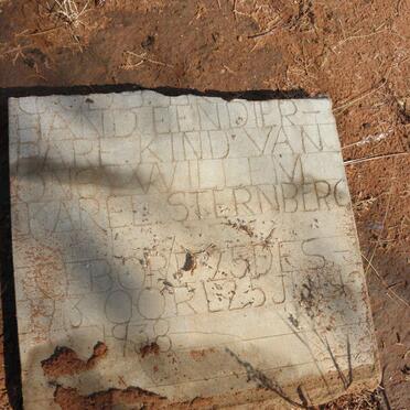 STERNBERG Willem Karel 1913-1938