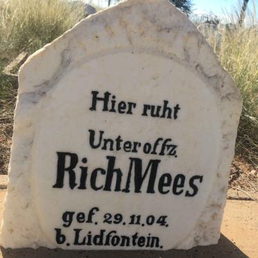 MEES Rich -1904