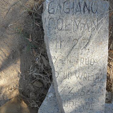 GAGIANO ?rista nee MOOLMAN 1927-1954