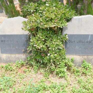 LIEBENBERG Willie 1912-1997 :: LIEBENBERG Guy 1905-1995