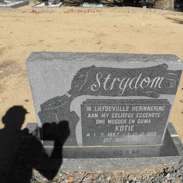 STRYDOM Kotie 1897-1968