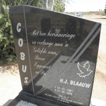 BLAAUW H.J. 1981-2006