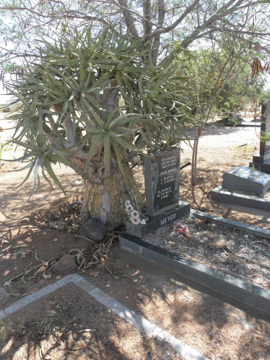 1. Overview