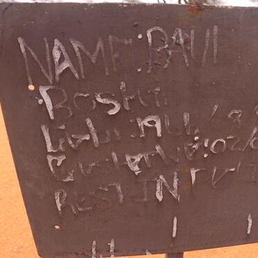 BOSTIN Paul 1961-2023