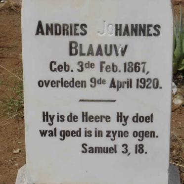 BLAAUW Andries Johannes 1867-1920