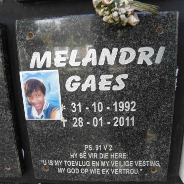 GAES Melandri 1992-2011