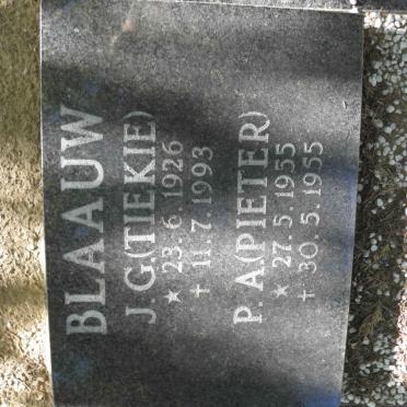 BLAAUW J.G. 1926-1993 :: BLAAUW P.A. 1955-1955