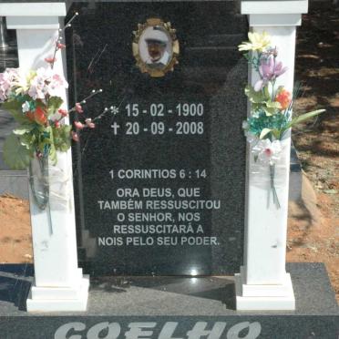 COELHO Avo Armando Joao 1900-2008