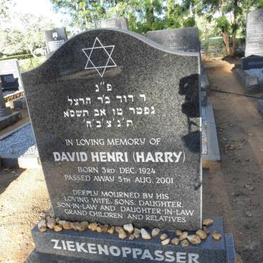ZIEKENOPPASSER David Henri 1924-2001