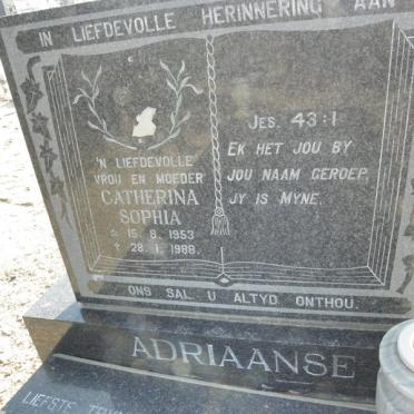 ADRIAANSE Catherina Sophia 1953-1988