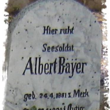 BAYER Albert 1881-1904