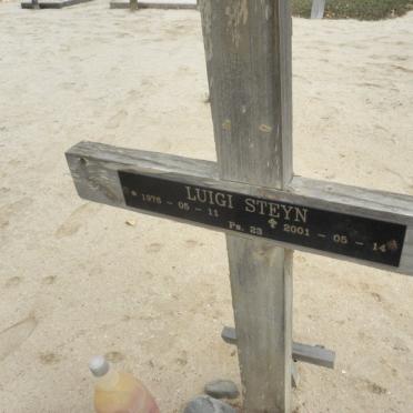 STEYN Luigi 1978-2001