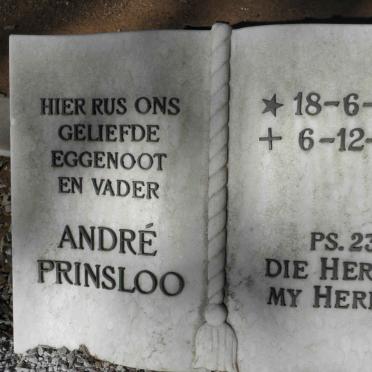 PRINSLOO Andre 1953-1981